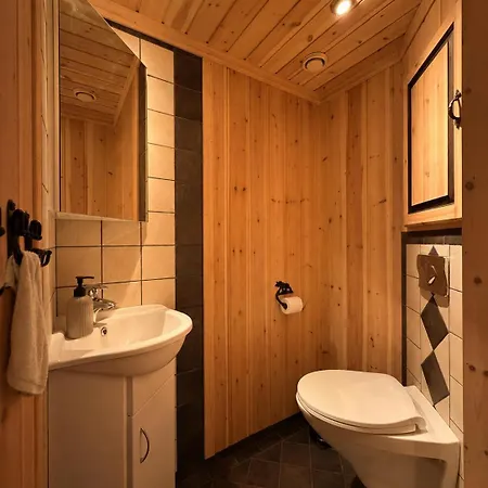Tatil Evi Cosy Mountain In Golsfjellet *